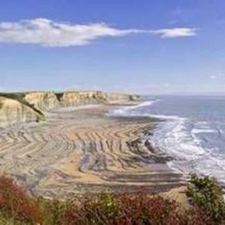 1-Bed Cottage On Coastal Pathway In South Wales Gileston 외부 사진