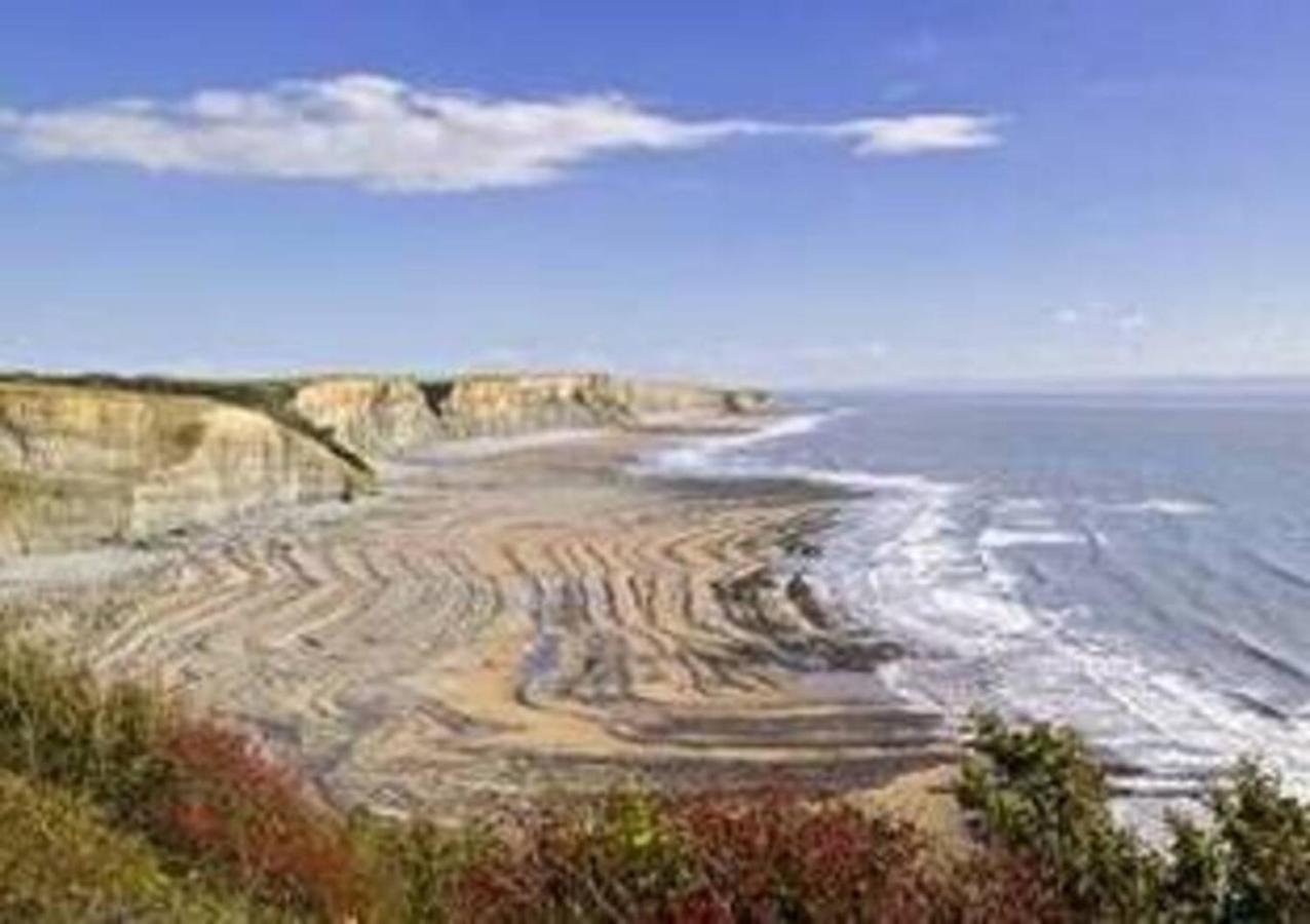 1-Bed Cottage On Coastal Pathway In South Wales Gileston 외부 사진